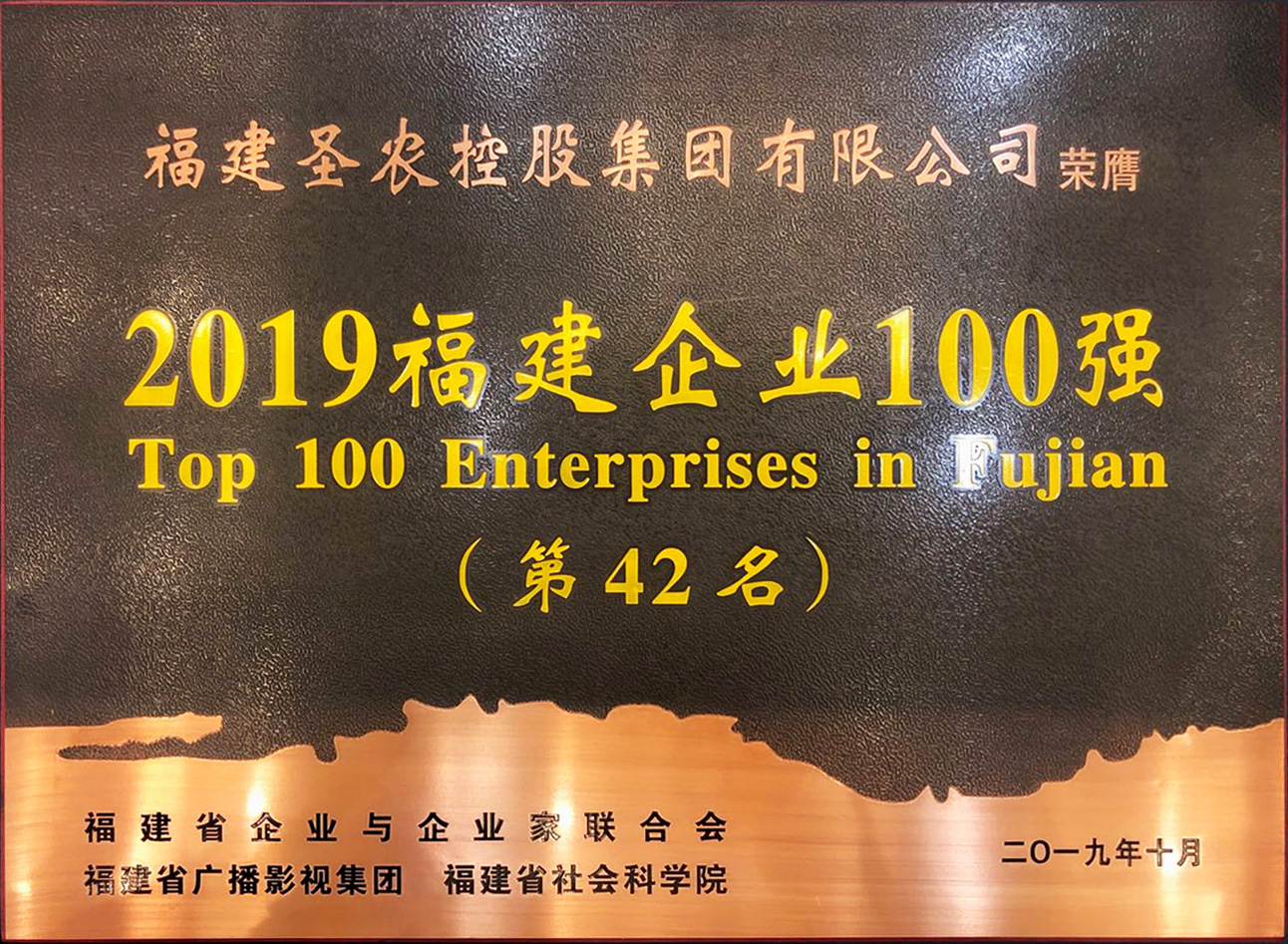 2019（圣农集团）福建企业100强